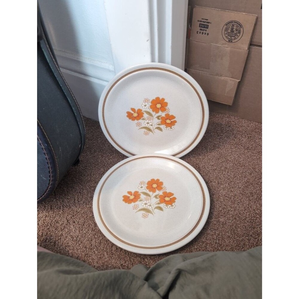 Vintage Nikko Color Stone Floral Plates
